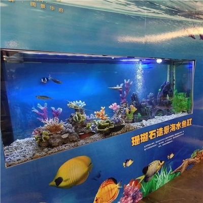 海水魚缸價格多少合適（海水魚缸價格）