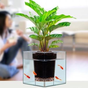 花盆放魚缸里有毒嗎（花盆可以放魚缸里嗎？）