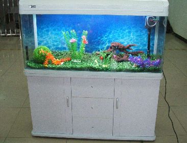 魚缸的擺放位置風水講究圖（魚缸擺放位置風水講究圖）