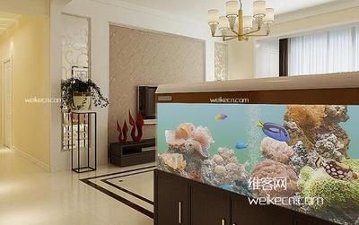 魚缸的擺放位置風水講究圖（魚缸擺放位置風水講究圖）