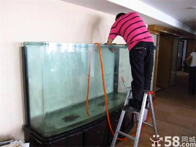 魚缸修復上門電話（上門修魚缸電話號碼）