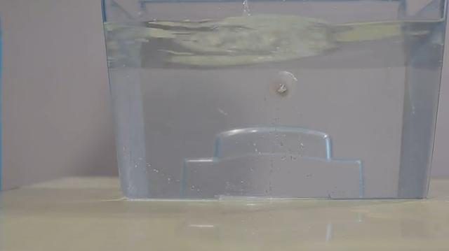 魚缸修復上門電話（上門修魚缸電話號碼）