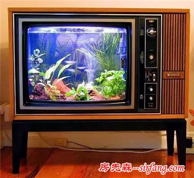 魚缸放在電視機旁面好不好：魚缸放在電視機旁邊好不好