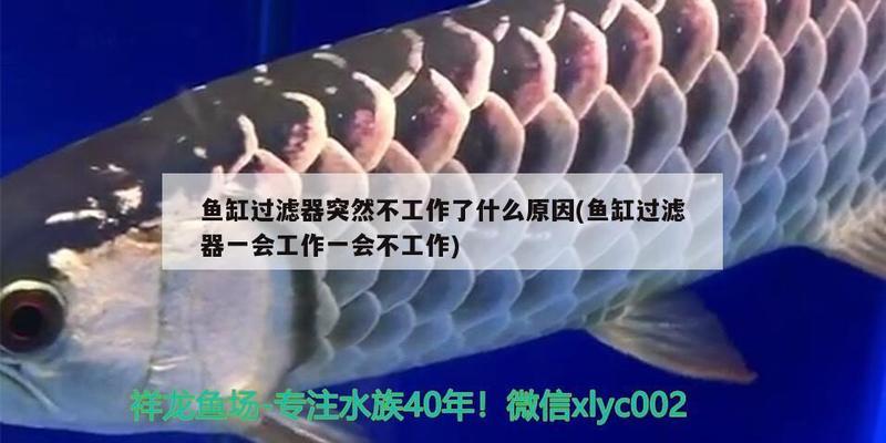 上海建珥水族景觀工程有限公司