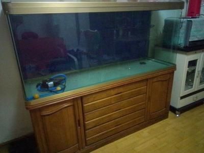 風(fēng)水魚缸尺寸算不算柜子面積大小（家居風(fēng)水魚缸尺寸的選擇）