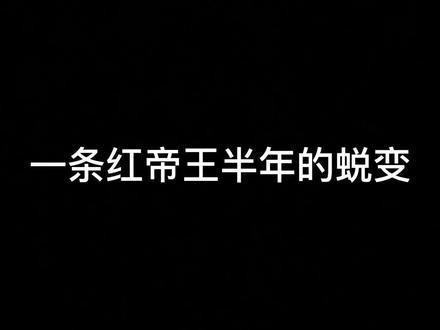 印尼紅魔神雷龍魚幼魚 印尼紅魔神雷龍魚幼魚 龍魚百科 第4張