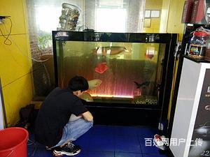 白銀區(qū)錦鯉之家水族店（白銀區(qū)錦鯉之家水族店電話）