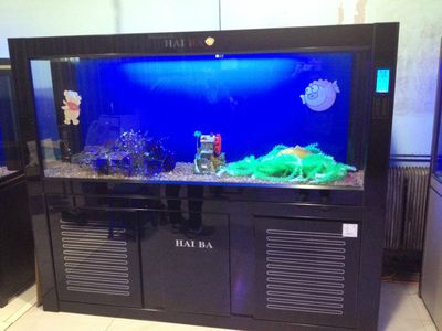 魚缸品牌標志CHLE（cleair魚缸品牌標志chle魚缸品牌標志）