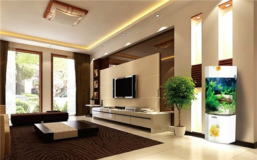 魚(yú)缸需多久換水（魚(yú)缸換水的頻率取決于多種因素，）