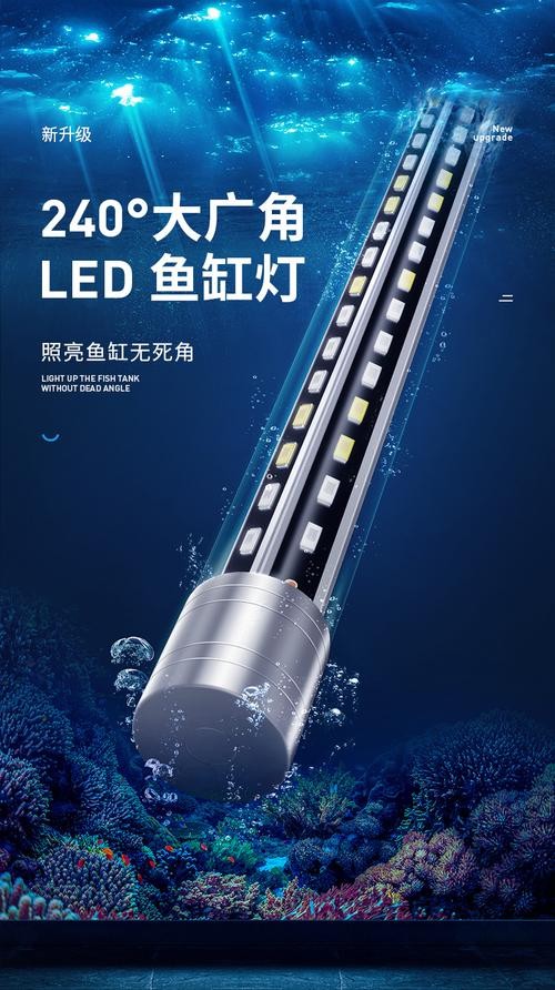 龍魚用什么燈不掉眼呢圖片