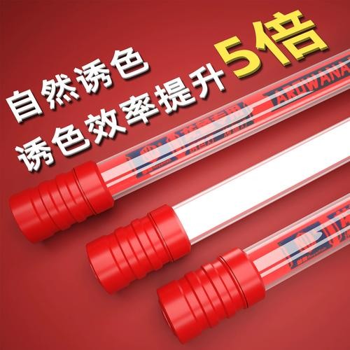 龍魚用什么燈不掉眼呢圖片