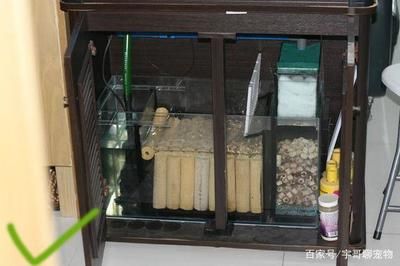 半圓柱魚缸過濾安裝視頻，半圓柱魚缸過濾器品牌推薦魚缸過濾器維護周期指南