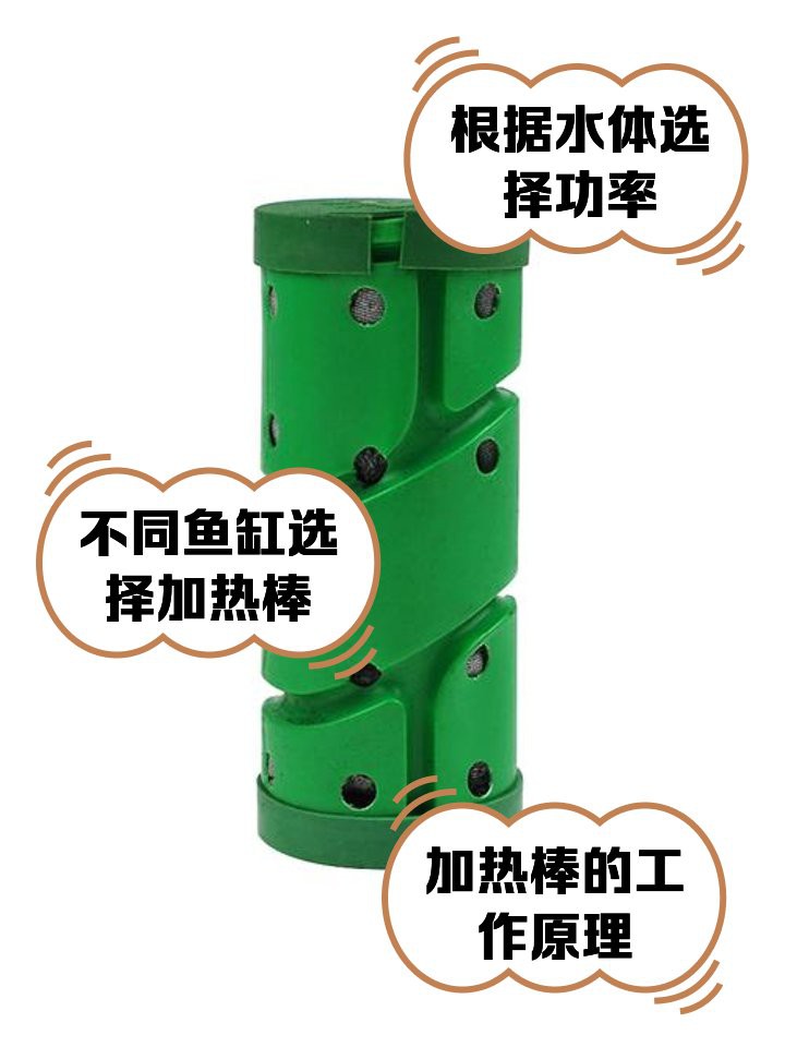 紅龍魚苗需要多大的加熱棒？