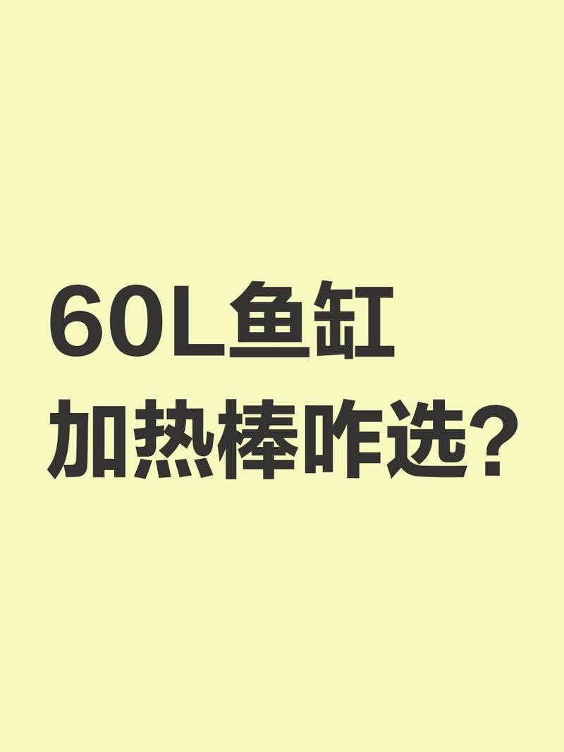 紅龍魚苗需要多大的加熱棒？