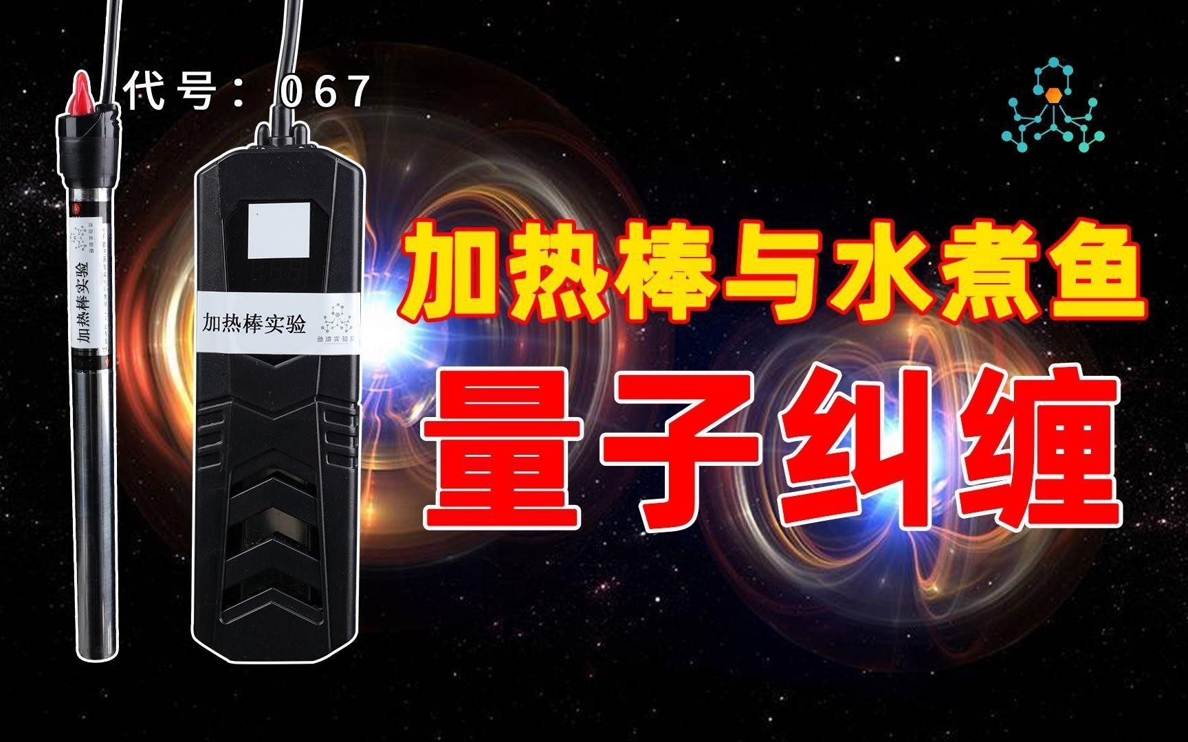 紅龍魚苗需要多大的加熱棒？