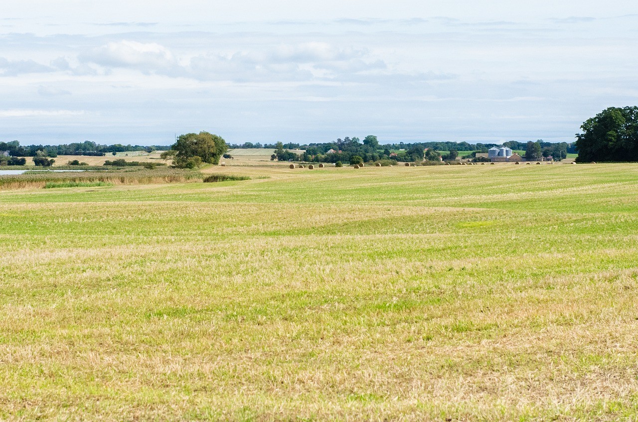方正縣帥方花卉種植專業合作社（方正縣帥方花卉種植專業合作社地址）