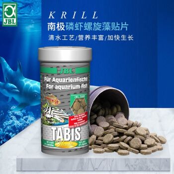 龍魚為什么掉眼：養龍魚掉眼怎么辦？原因分析與治療方法全解析