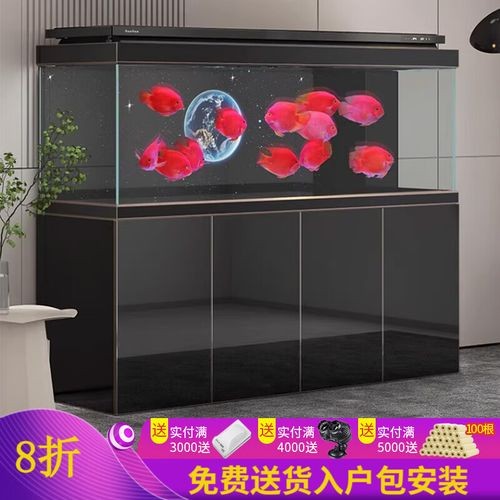 高端龍魚(yú)缸哪個(gè)品牌最好？ 高端龍魚(yú)缸哪個(gè)品牌最好？ 龍魚(yú)百科 第3張