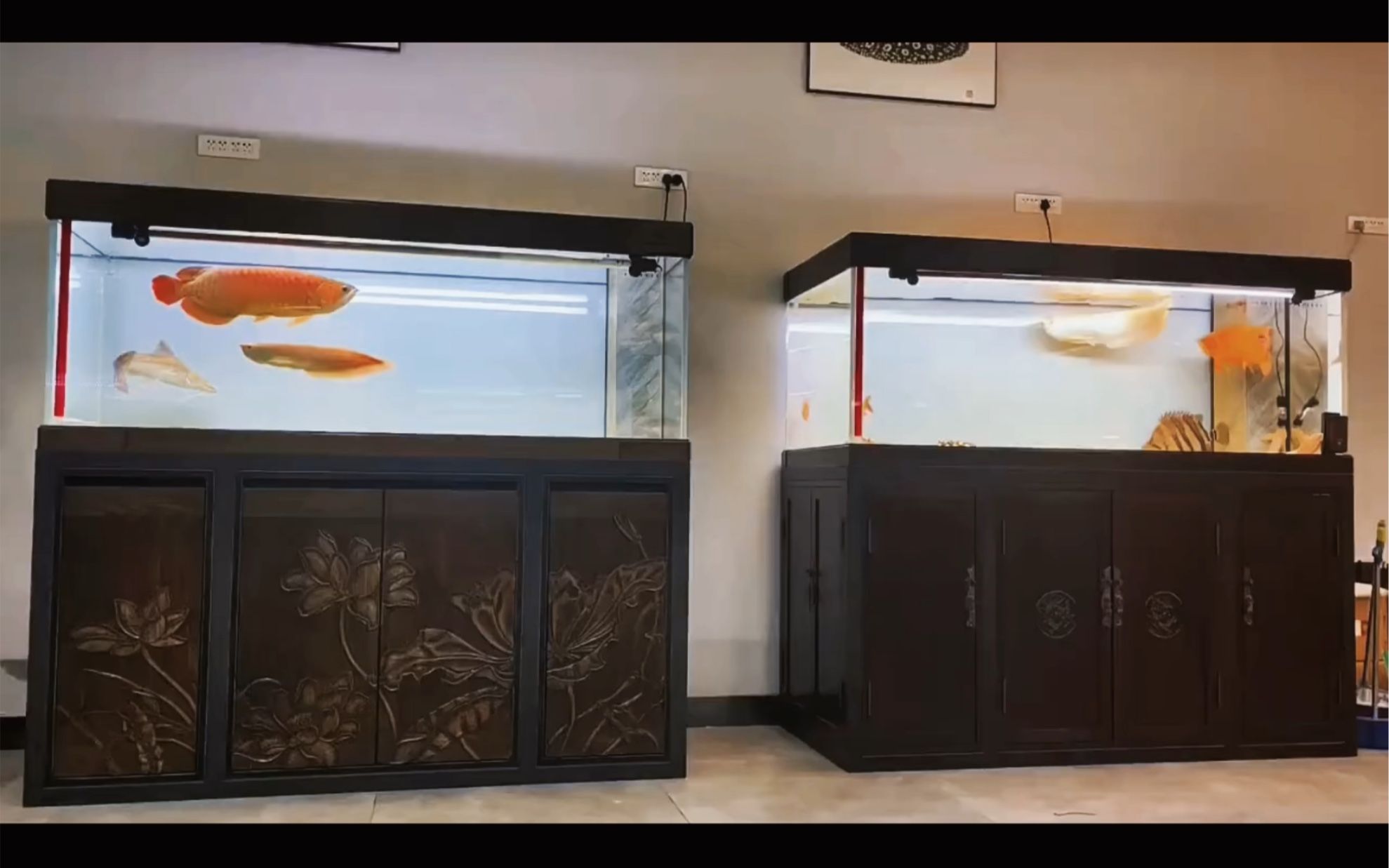 久鼎魚缸：久鼎魚缸與其他品牌對比久鼎魚缸與其他品牌對比