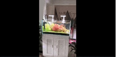 工業魚缸設計原理工業魚缸設計原理工業魚缸設計原理：工業魚缸在商業空間的應用