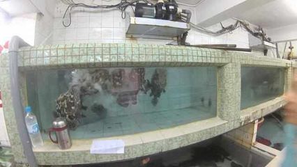 海鮮魚缸設計美學海鮮魚缸設計美學海鮮魚缸設計要點：制作海鮮魚缸的設計美學
