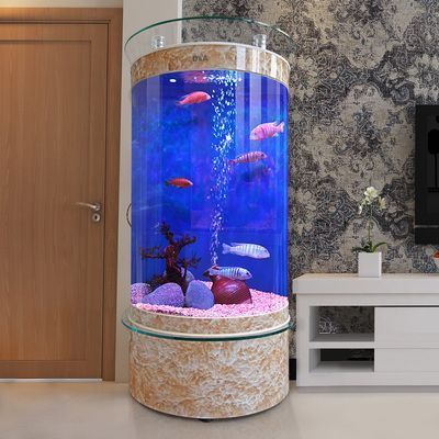 魚缸水質(zhì)檢測(cè)頻率及方法：魚缸水質(zhì)檢測(cè)的頻率及方法