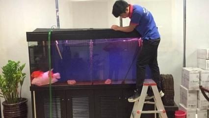魚缸水質(zhì)檢測(cè)頻率及方法：魚缸水質(zhì)檢測(cè)的頻率及方法