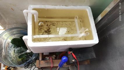 魚缸過濾器的優缺點:如何選擇合適的魚缸過濾器 魚缸百科 第1張 魚缸過濾器的優缺點:如何選擇合適的魚缸過濾器 魚缸過濾器的優缺點:如何選擇合適的魚缸過濾器 魚缸百科 第1張