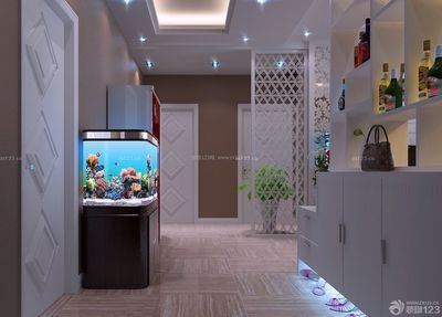 入戶魚缸玄關效果圖，入戶魚缸玄關的設計效果圖和注意事項和注意事項