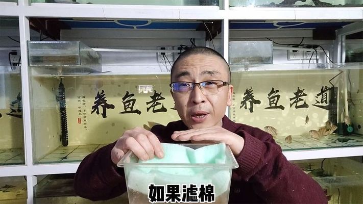 魚缸濾盒干濕分離好嗎：干濕分離濾盒的優(yōu)缺點