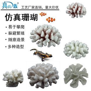 魚缸珊瑚造景：如何通過魚缸珊瑚造景提升觀賞體驗和水質環境