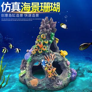 魚缸珊瑚造景：如何通過魚缸珊瑚造景提升觀賞體驗和水質環境