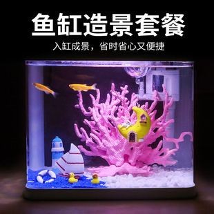 魚缸珊瑚造景：如何通過魚缸珊瑚造景提升觀賞體驗和水質環境