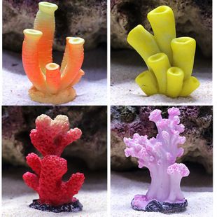 魚缸珊瑚造景：如何通過魚缸珊瑚造景提升觀賞體驗和水質環境