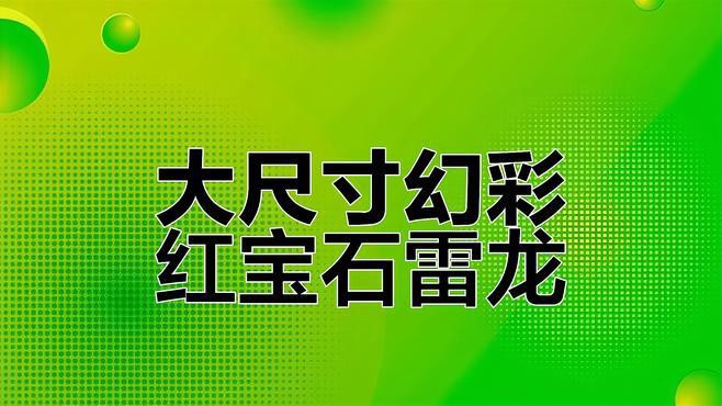 哪種雷龍魚耐高溫