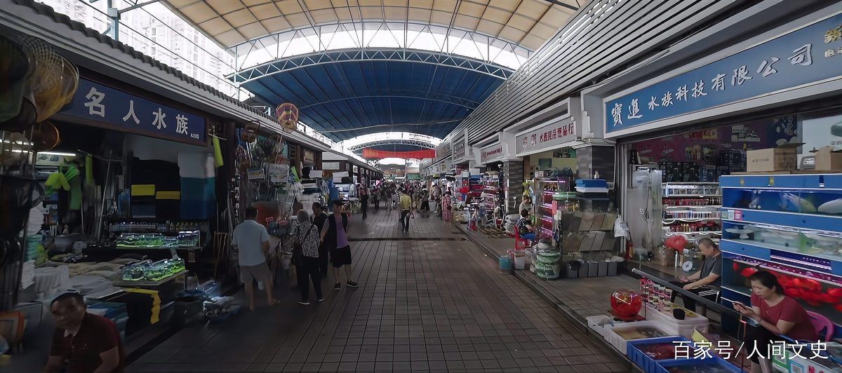 中國最大的龍魚批發市場在哪里