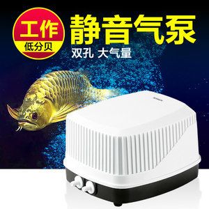 龍魚缸氧氣泵用不用一直開著：魚缸氧氣泵需要24小時開著嗎 龍魚缸氧氣泵用不用一直開著：魚缸氧氣泵需要24小時開著嗎 龍魚百科 第2張