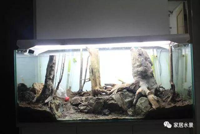 如何選擇魚缸造景材料魚缸造景材料魚缸造景的造景技巧：關于魚缸造景的一些建議