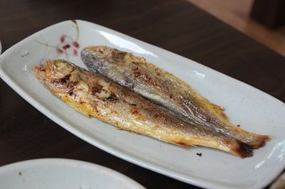 朱巴利魚(yú)苗食物選擇指南：朱巴利魚(yú)苗與龍魚(yú)苗區(qū)別,朱巴利魚(yú)苗最佳喂養(yǎng)時(shí)間
