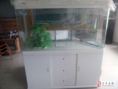 廣饒縣有多家店鋪銷售魚缸：如何選擇合適的魚缸