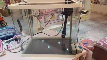 哈市尋找二手魚缸出售信息時可通過多個渠道獲取最新信息：養魚入門知識全解析