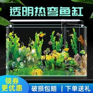 六角恐龍魚的魚缸里能放水草嗎：六角恐龍魚的魚缸里是否能放水草六角恐龍魚魚缸水質維護方法