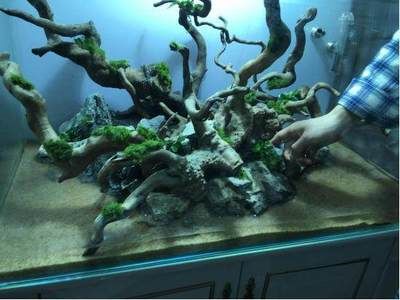 魚缸造景培訓(xùn)班的加盟情況已有超過160家加盟店：濰坊魚缸造景培訓(xùn)班