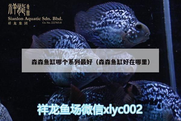 森森魚缸哪個型號的好（森森魚缸時尚系列款式豪華魚缸適合哪些場合）