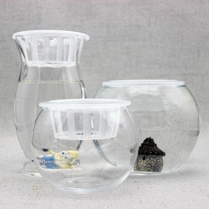 花盆改造魚缸花盆騰訊視頻自制魚缸的注意事項和注意事項：如何將花盆改造成魚缸