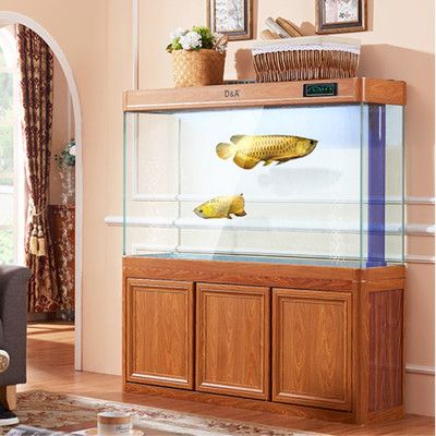 魚缸性價比高（選擇一款高性價比的魚缸）