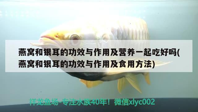 天津市寶坻區(qū)常青觀賞魚店