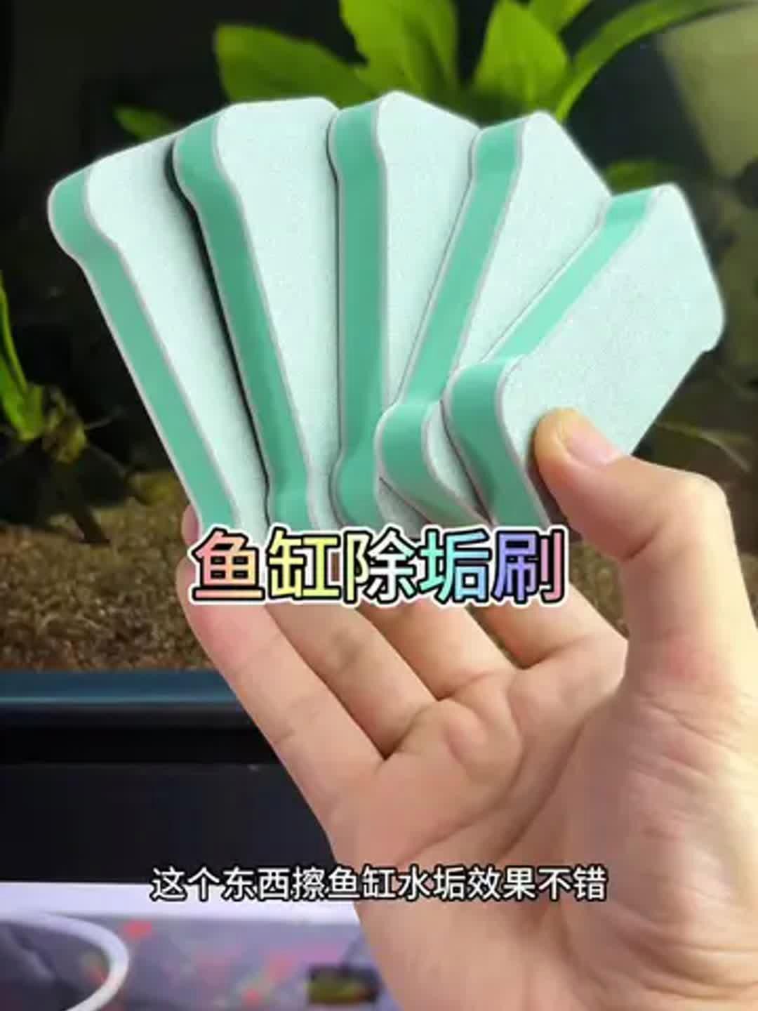 如何判斷龍魚缸是否徹底清潔？