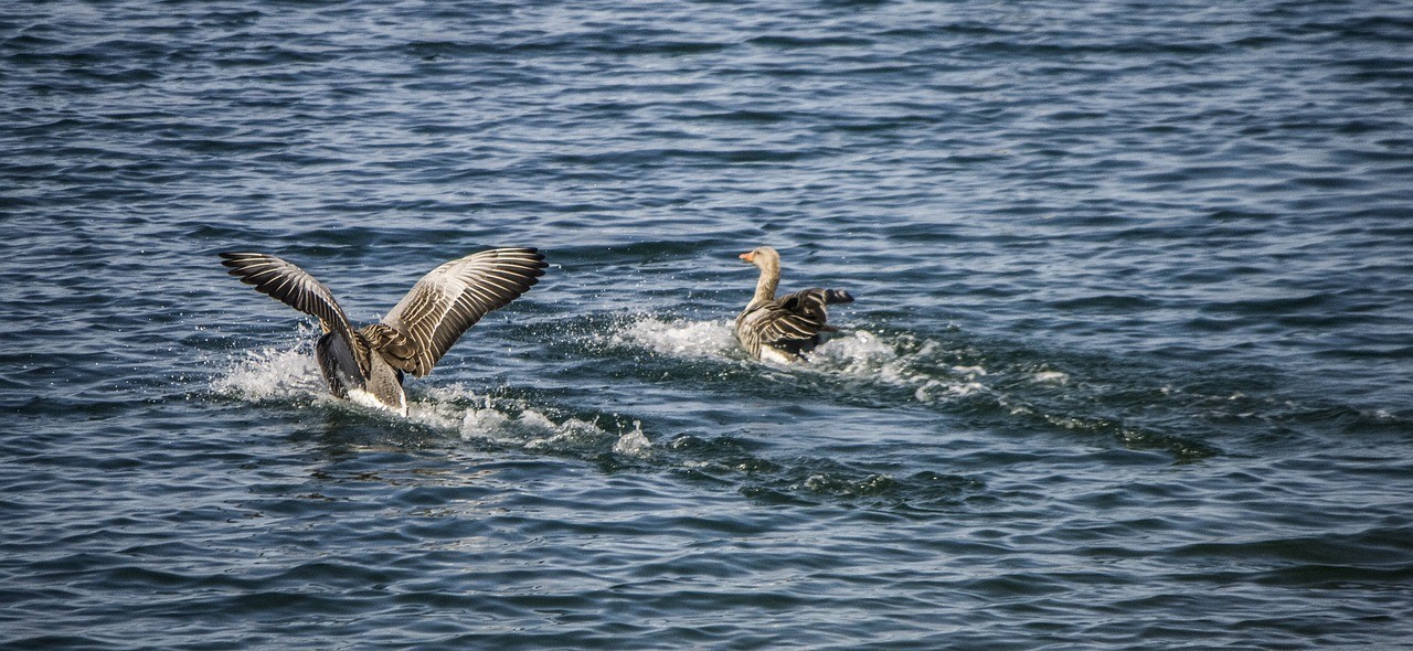 經開區魚和水繽紛水族館 （魚和漁主題餐廳）