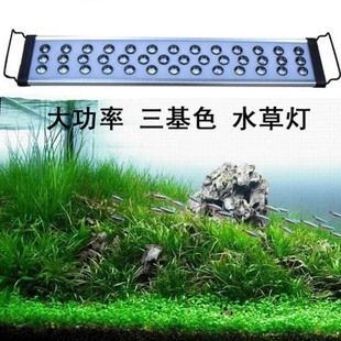 魚缸燈架有什么好處：魚缸燈架對魚類及水生生態(tài)系統(tǒng)的積極影響，魚缸燈架的好處